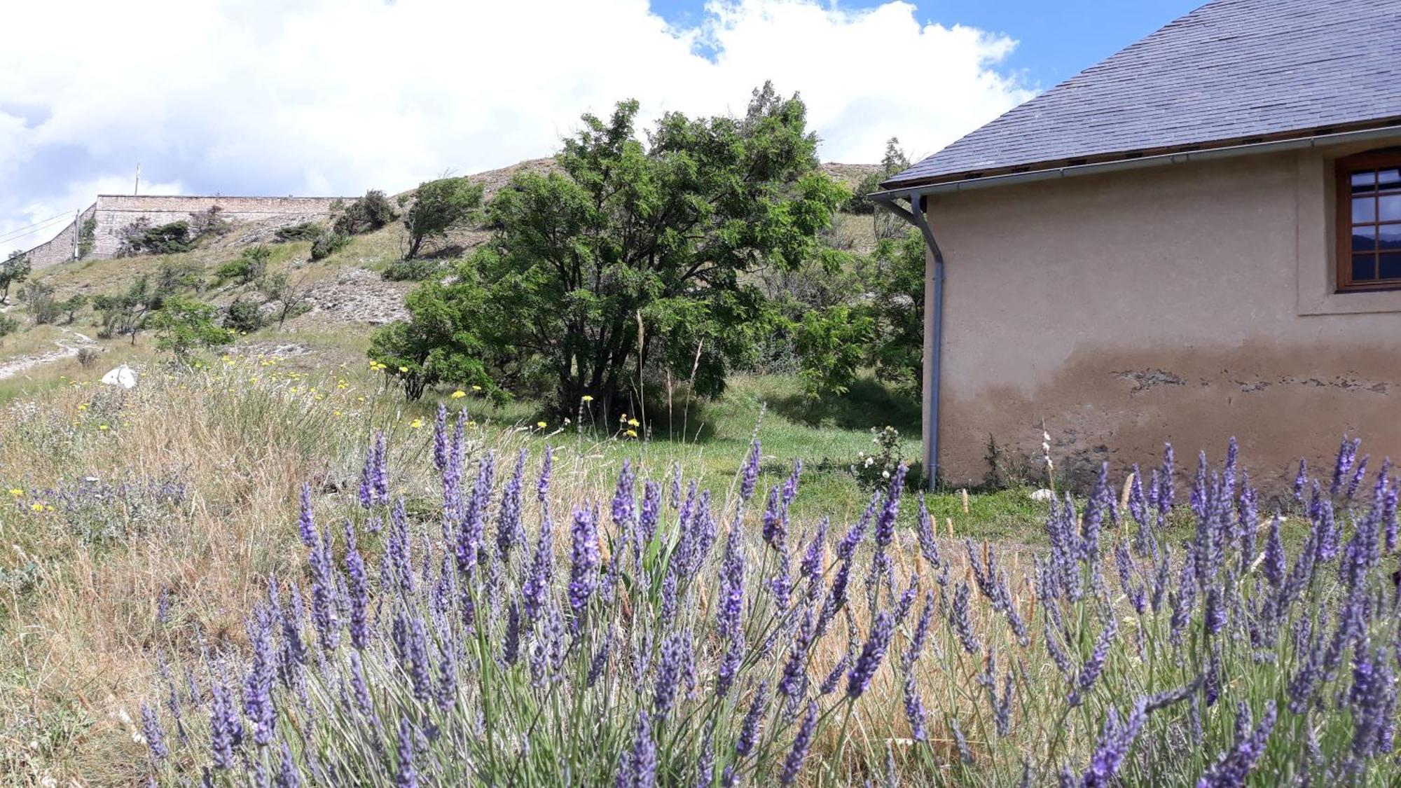 Corps De Garde De La Roche Villa Mont-Dauphin Eksteriør bilde